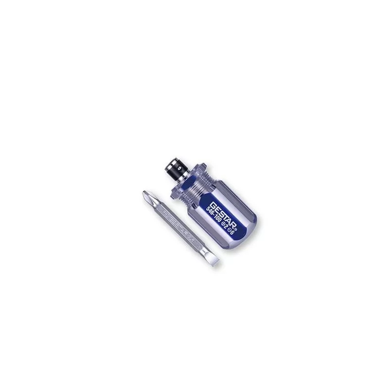 ATORNILLADOR REVERSIBLE ACETA (+/) X36 546100 G