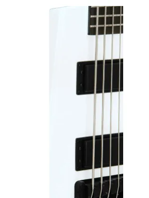 Bajo Electrico Steinberger Spirit Xtstd5Wh1 