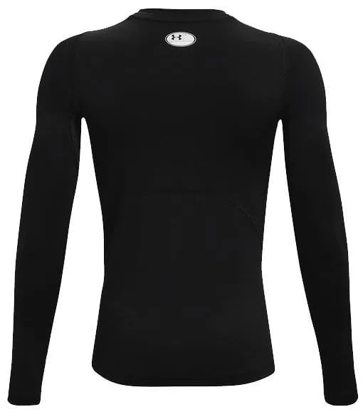 Camiseta de manga larga Under UA HG Armour LS