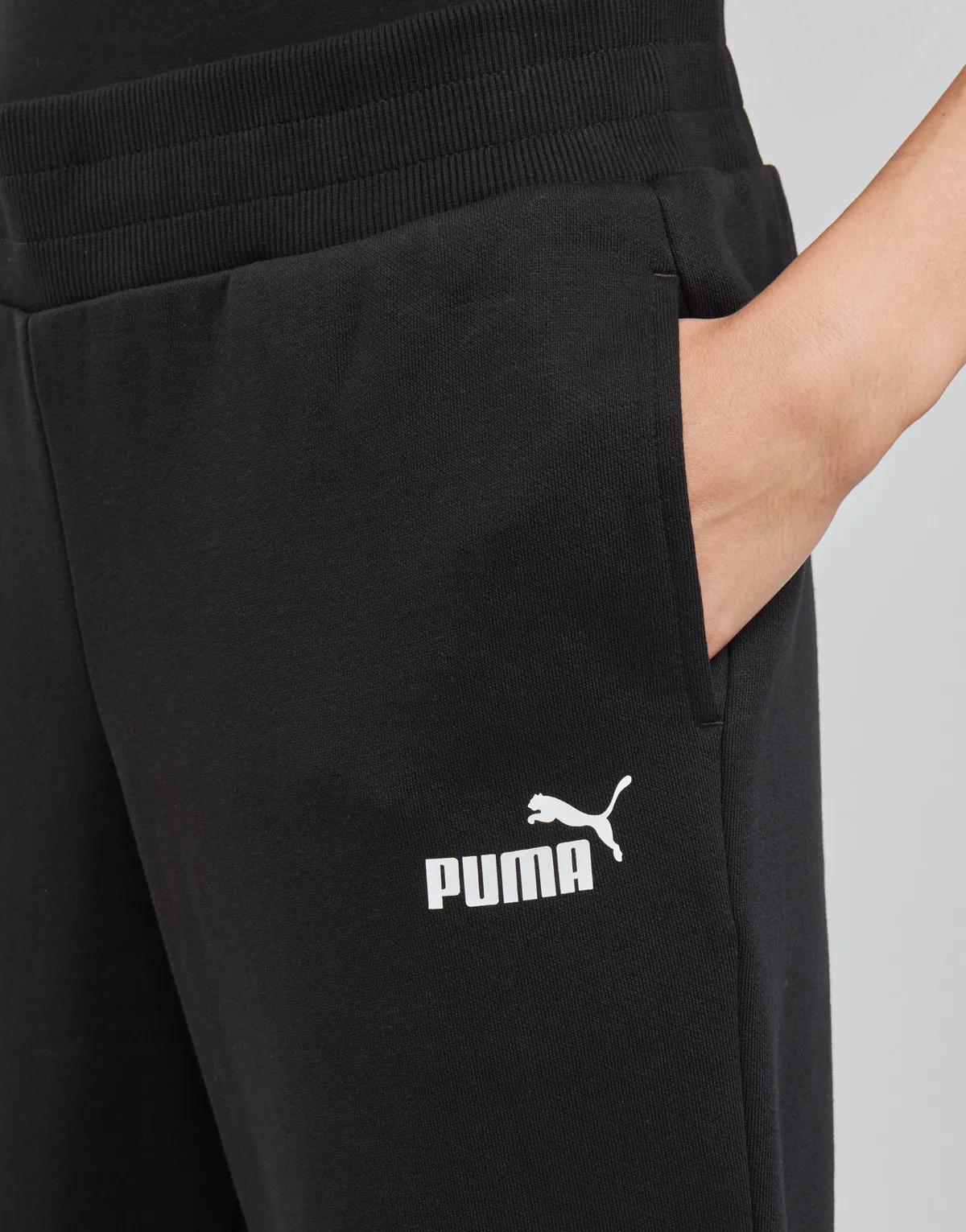 ESS SWEAT PANT FL CL