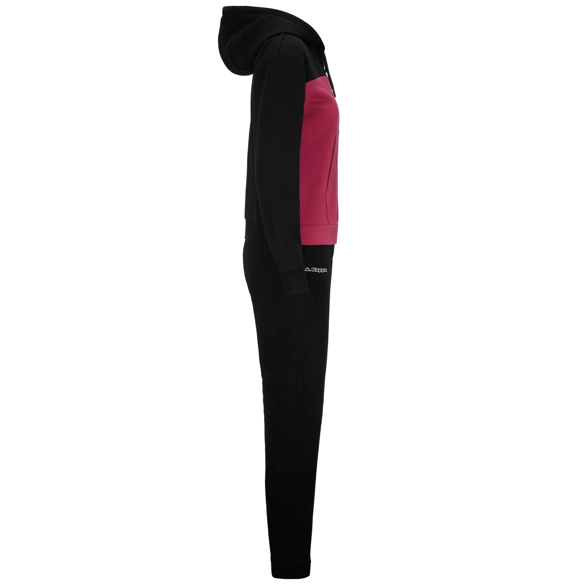 LOGO  FESA BLACKFUCHSIA BRIGHT ROSE