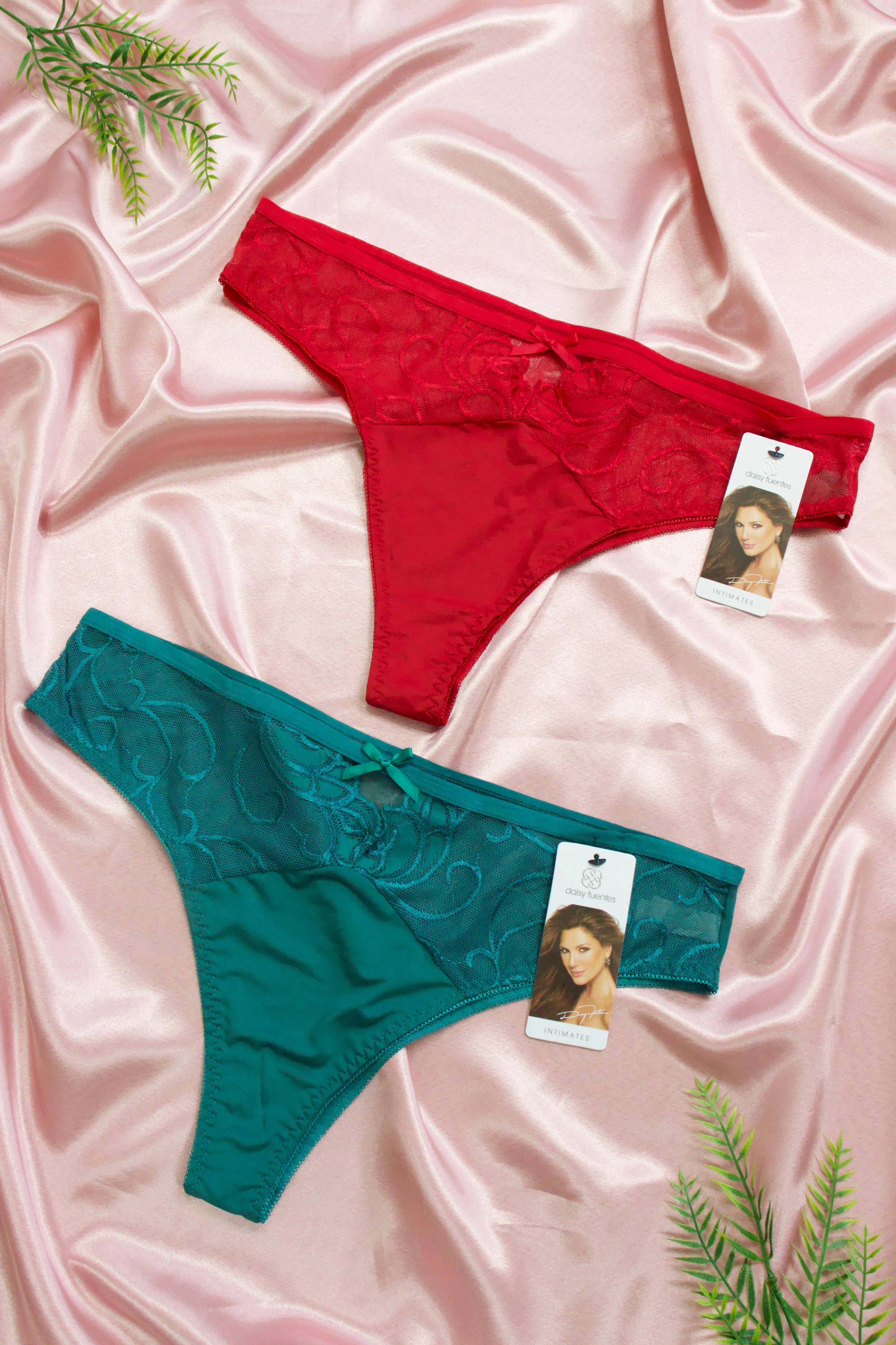 PANTY CACHETERO DE ENCAJE Y MESH DF4767X OFF
