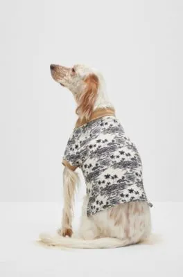 Polo para perros en algodón con estampado de palmeras
