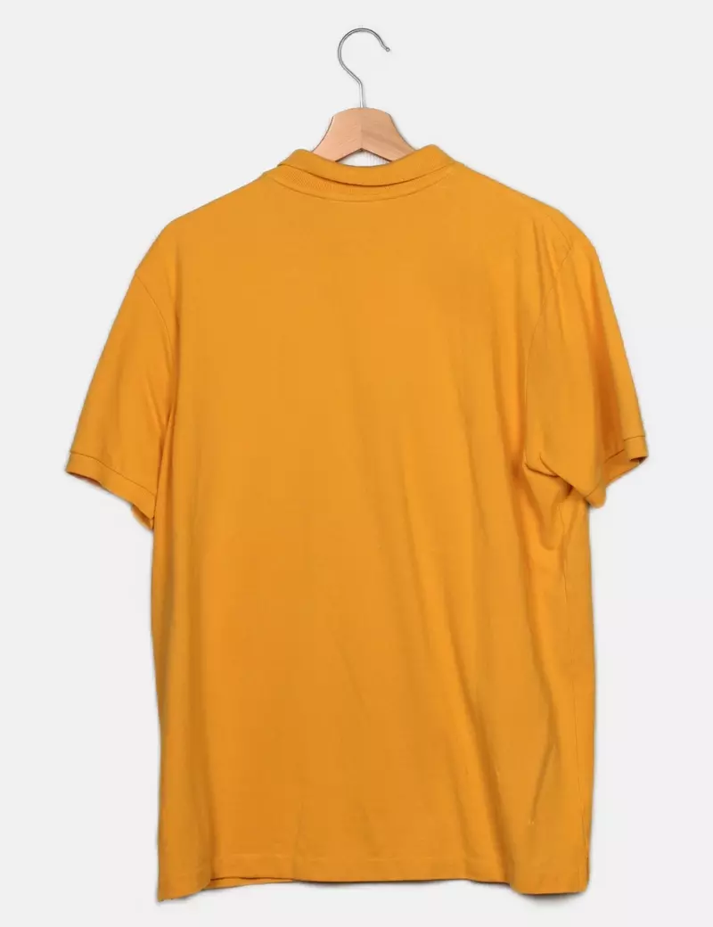 Springfield Polo